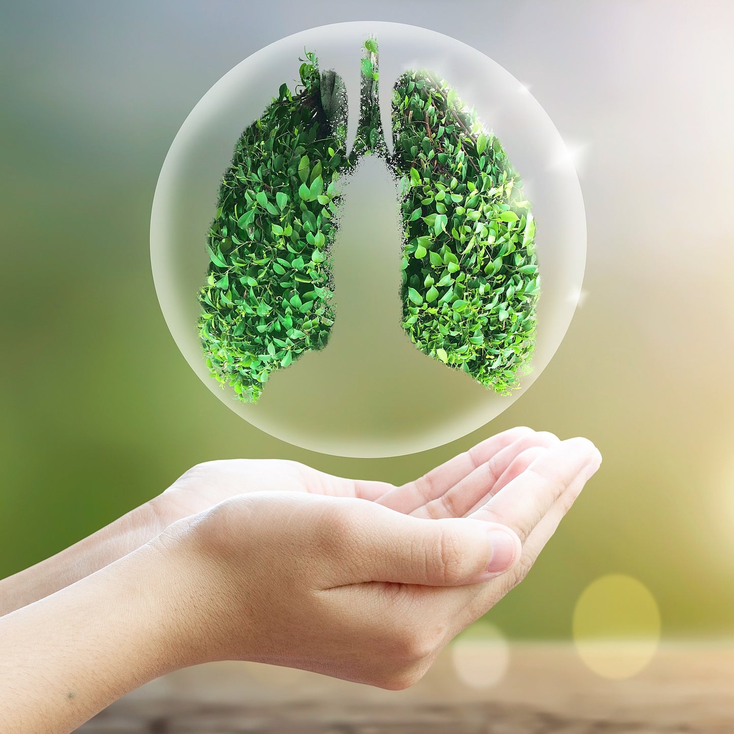 AVAILABLE - Wim Hof Method Fundamentals Workshop